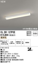 OL291127P3E