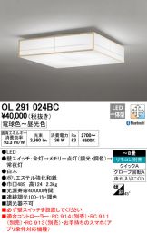 OL291024BC