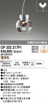 OP252217P1