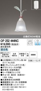 OP252444NC