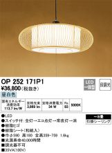 OP252171P1