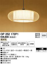 OP252172P1