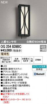 OG254839BC