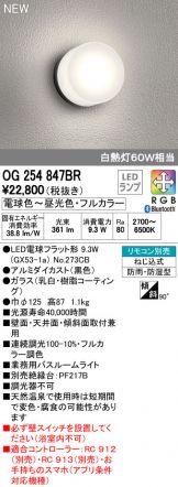OG254847BR