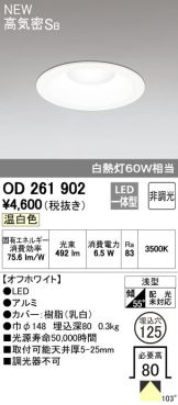 OD261902