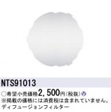 NTS91013