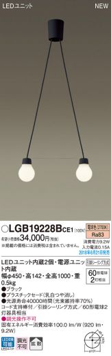 LGB19228BCE1