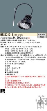 NTS53131B