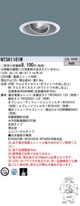 NTS61181W