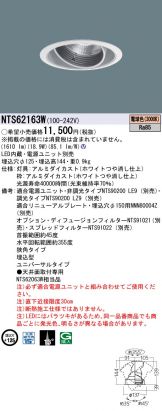 NTS62163W