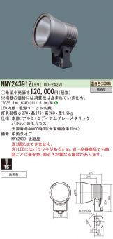 NNY24391ZLE9