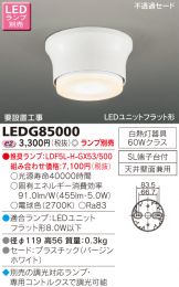 LEDG85000