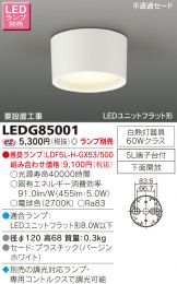 LEDG85001