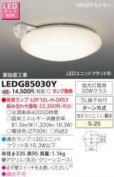 LEDG85030Y