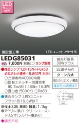 LEDG85031