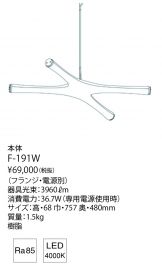 F-191W