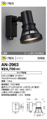 AN-2963