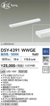 DSY-4391WWGE