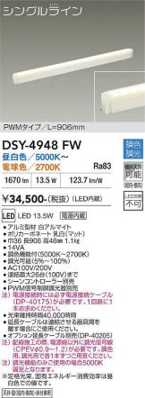 DSY-4948FW