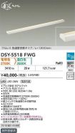 DSY-5518FWG