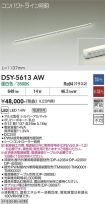 DSY-5613AW
