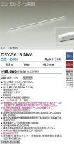 DSY-5613NW