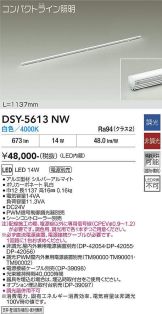 DSY-5613NW