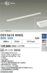 DSY-5618WWG