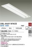 DBL-4469WW25