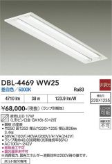 DBL-4469WW25