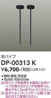 DP-00313K