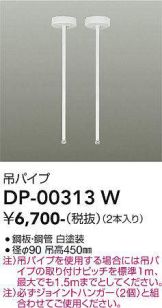 DP-00313W