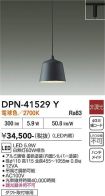 DPN-41529Y