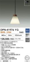 DPN-41976YG