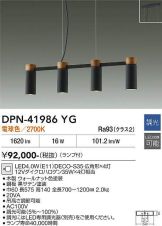 DPN-41986YG