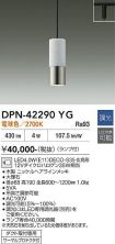 DPN-42290YG