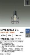 DPN-42461YG