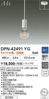 DPN-42491YG