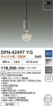 DPN-42497YG
