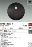 DPN-42597Y