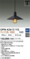 DPN-42613YG