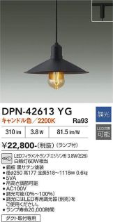 DPN-42613YG