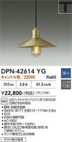 DPN-42614YG