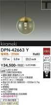 DPN-42663Y