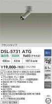 DSL-5731ATG