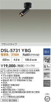 DSL-5731YBG