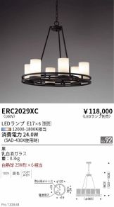 ERC2029XC