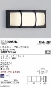ERB6095HA