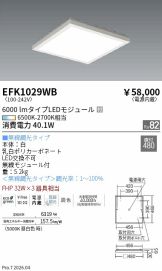 EFK1029WB