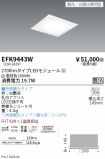 EFK9443W